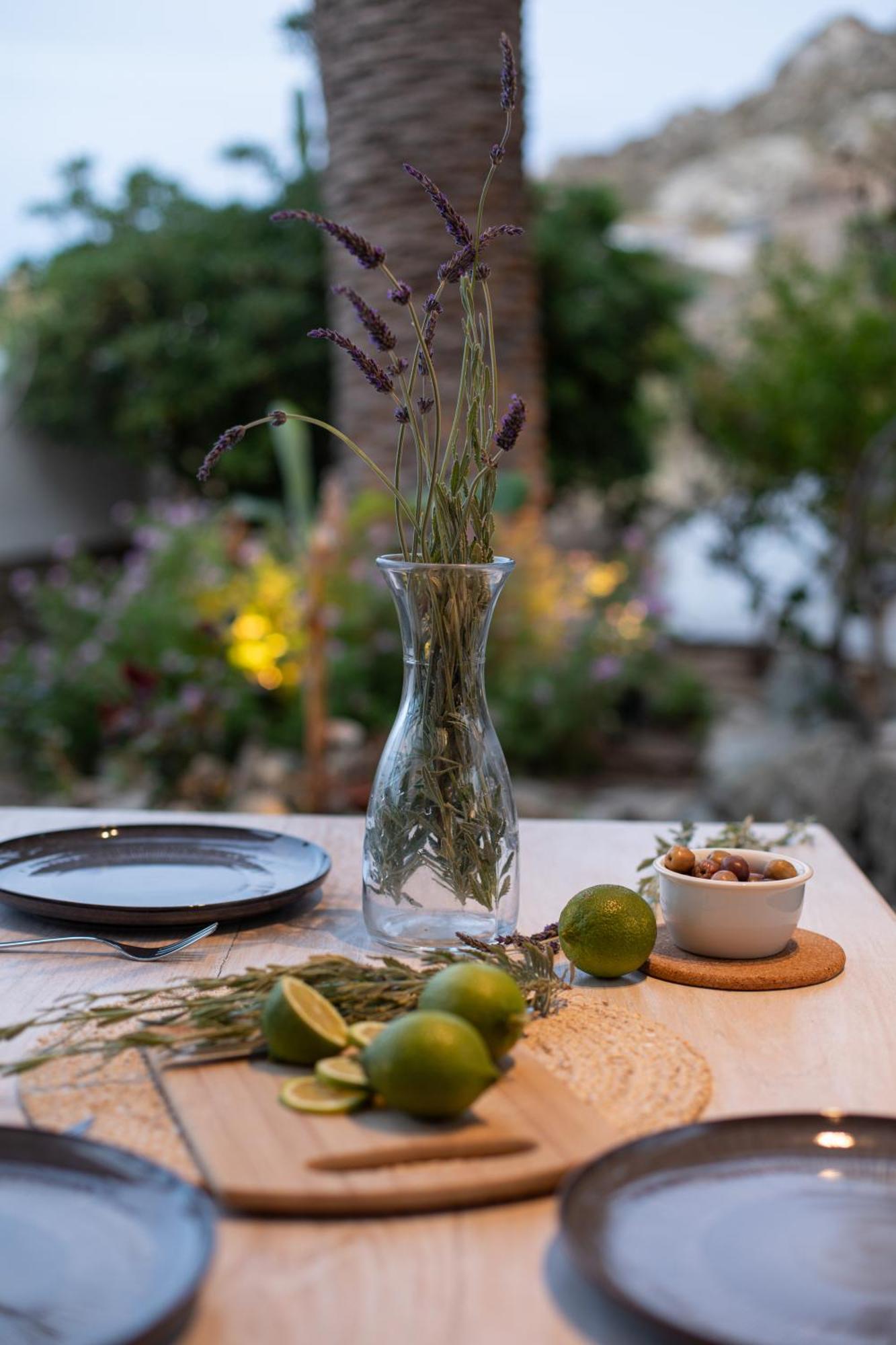 Levantes House Mykonos Ano Mera Exterior photo